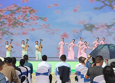 区农发公司：践行国企担当 助推谢家铺镇乡村振兴